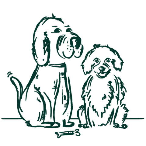 Brave Hunde Willkommen