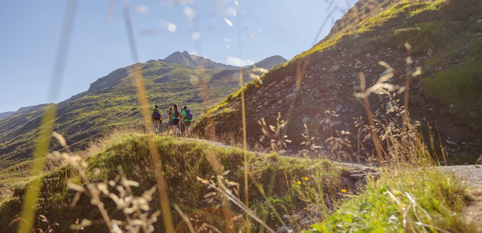 BergePlus Wandern Montafon